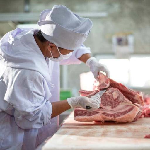 Imagem ilustrativa do curso de Açougueiro e Manipulação de Carnes
